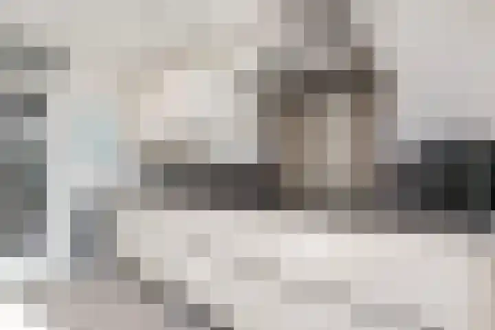Octavianus 60 Wijk bij Duurstede thumbnail 18