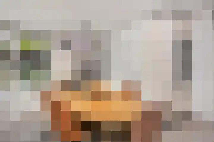 Octavianus 60 Wijk bij Duurstede thumbnail 19