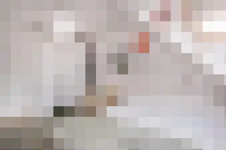 Octavianus 60 Wijk bij Duurstede thumbnail 22