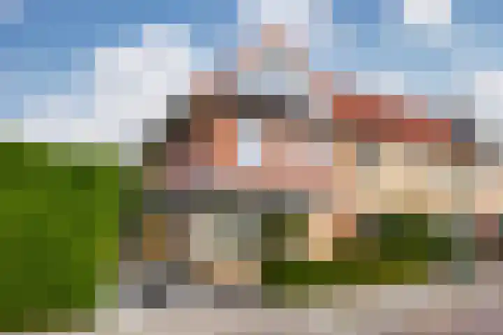 Octavianus 60 Wijk bij Duurstede foto 3