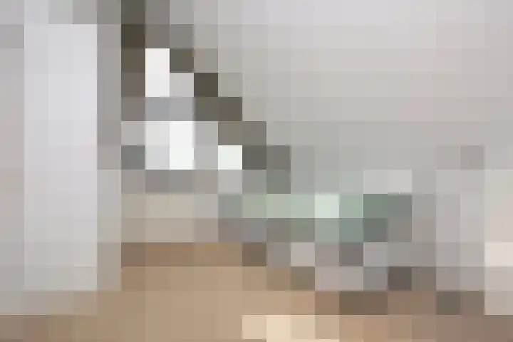 Octavianus 60 Wijk bij Duurstede thumbnail 31