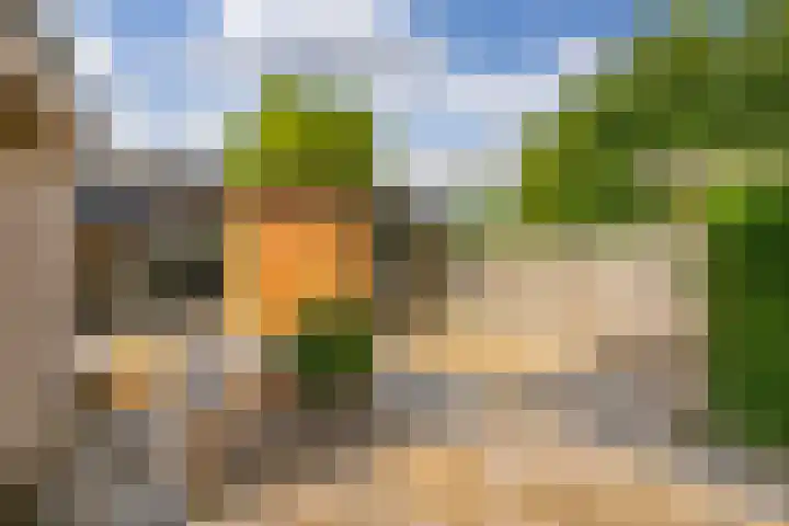 Octavianus 60 Wijk bij Duurstede thumbnail 33