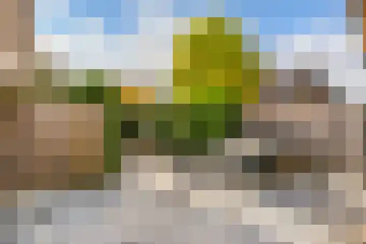 Octavianus 60 Wijk bij Duurstede thumbnail 36