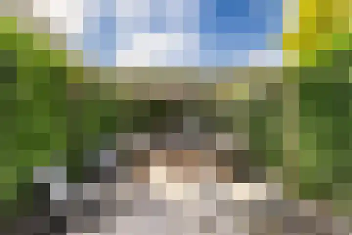 Octavianus 60 Wijk bij Duurstede thumbnail 37