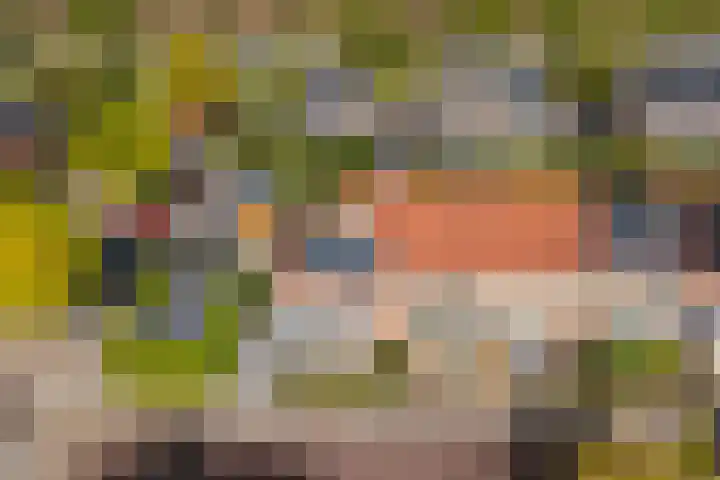 Octavianus 60 Wijk bij Duurstede thumbnail 38
