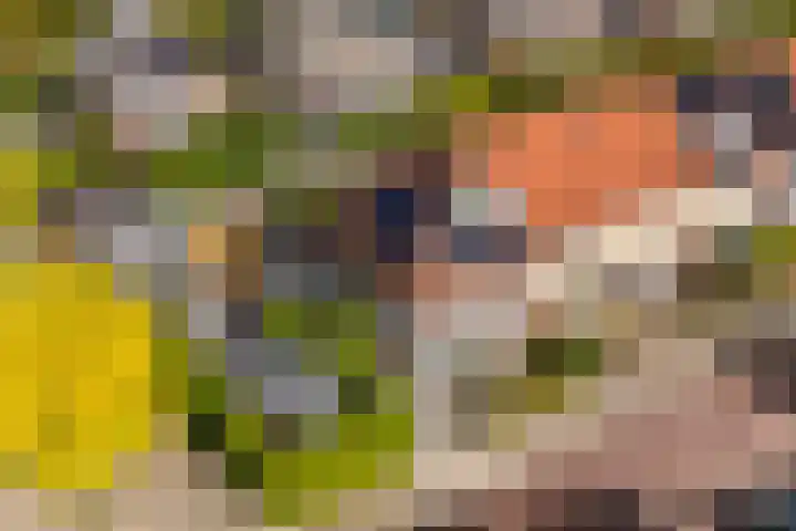 Octavianus 60 Wijk bij Duurstede thumbnail 39