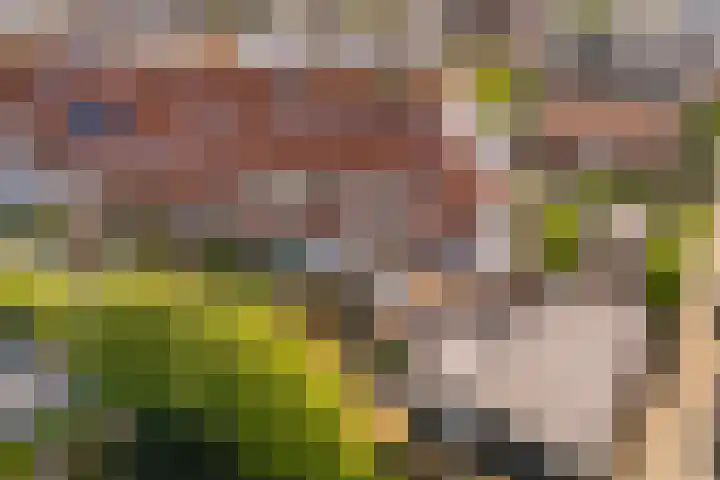 Octavianus 60 Wijk bij Duurstede thumbnail 41