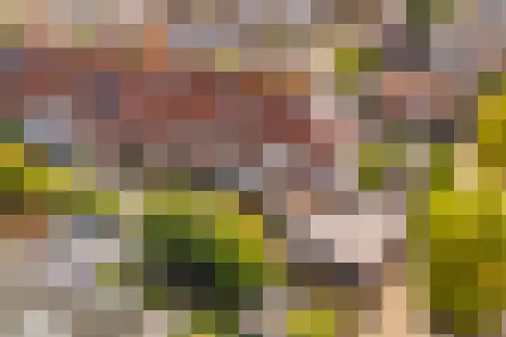 Octavianus 60 Wijk bij Duurstede thumbnail 42