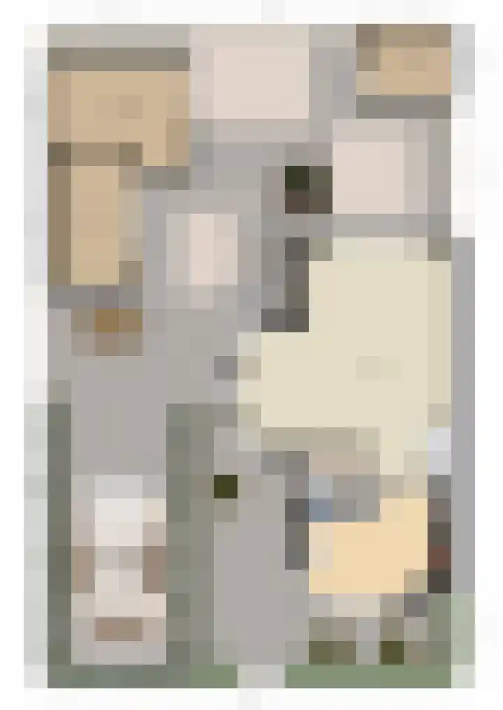 Octavianus 60 Wijk bij Duurstede thumbnail 44