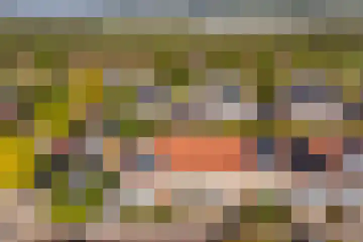 Octavianus 60 Wijk bij Duurstede thumbnail 5