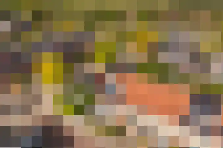 Octavianus 60 Wijk bij Duurstede thumbnail 6