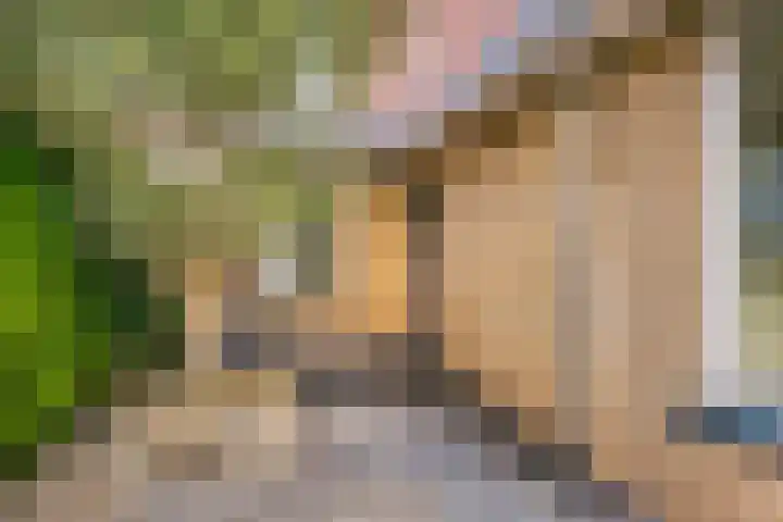 Octavianus 60 Wijk bij Duurstede thumbnail 7