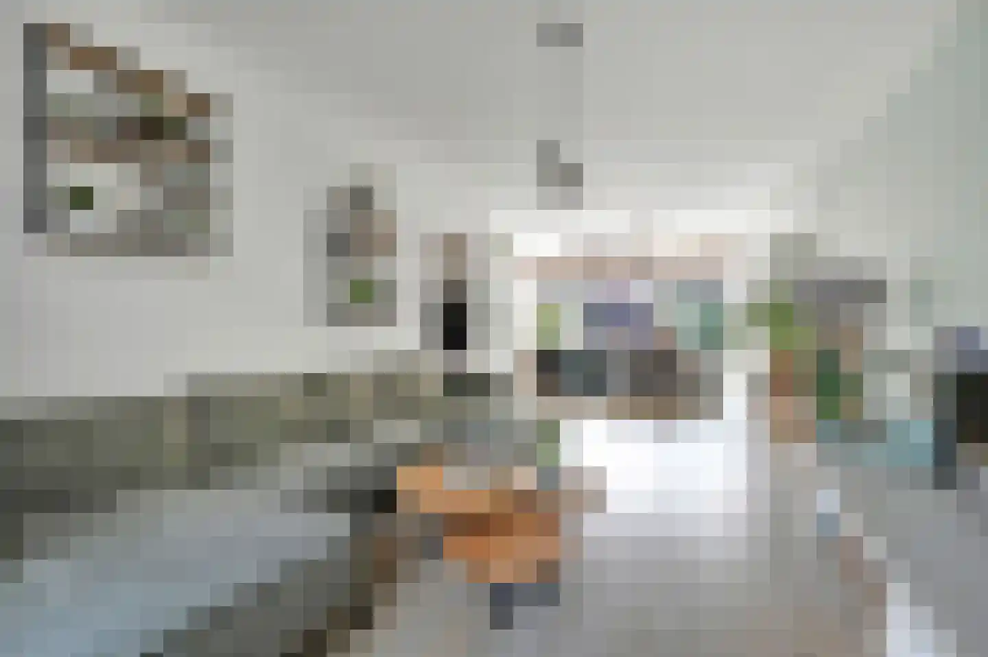 Octavio Pazlaan 1 Den Haag thumbnail 15