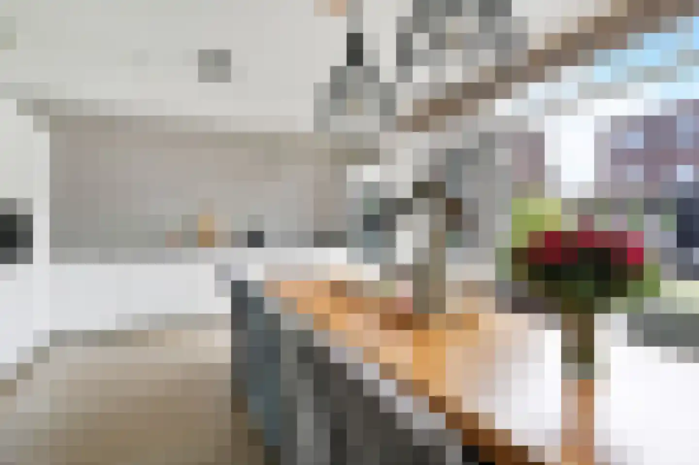 Octavio Pazlaan 1 Den Haag thumbnail 17