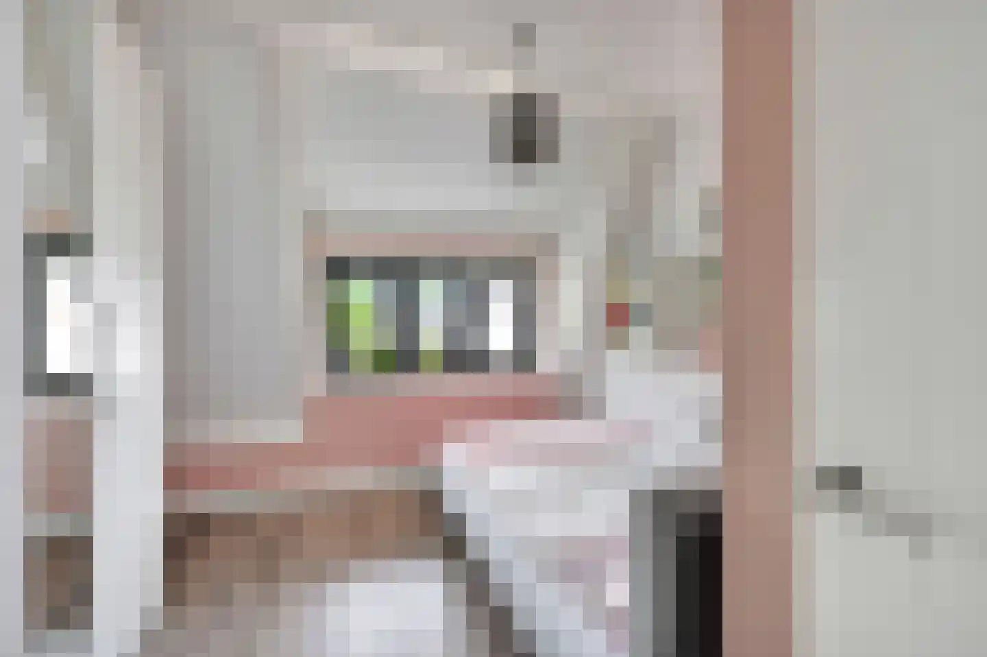 Octavio Pazlaan 1 Den Haag thumbnail 44