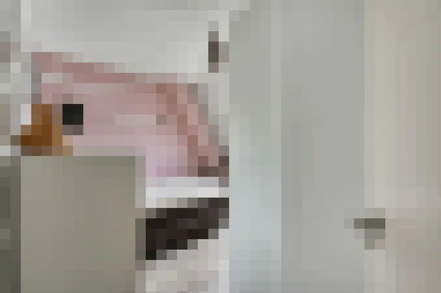 Octavio Pazlaan 1 Den Haag thumbnail 46