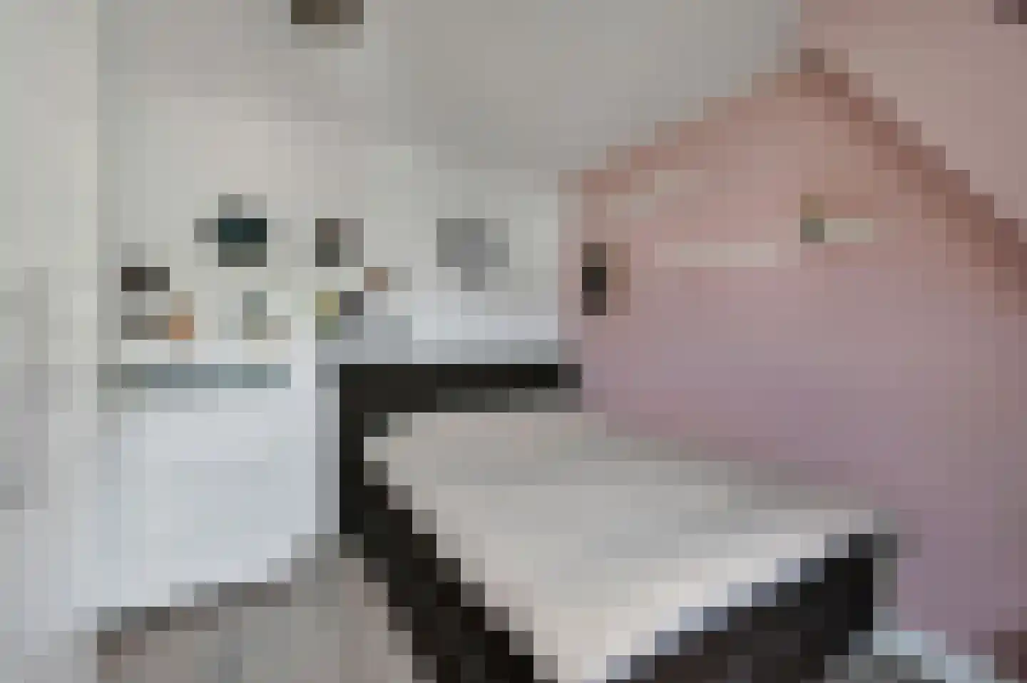 Octavio Pazlaan 1 Den Haag thumbnail 48