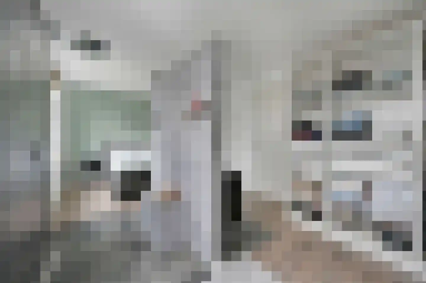 Octavio Pazlaan 1 Den Haag thumbnail 54