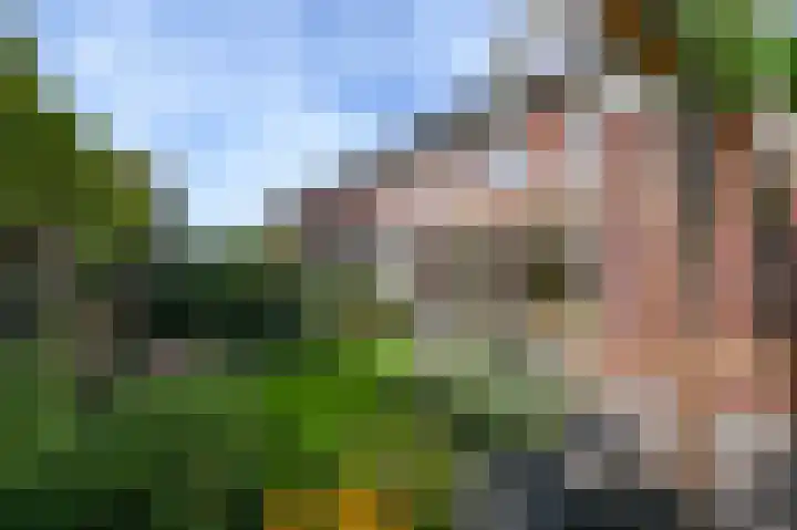 Octavio Pazlaan 11 Den Haag thumbnail 24