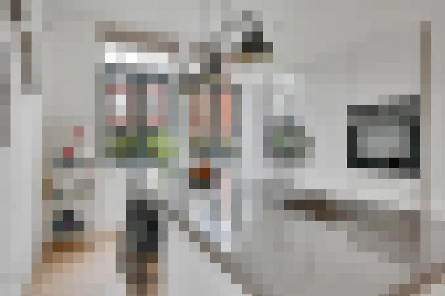 Octavio Pazlaan 9 Den Haag thumbnail 15