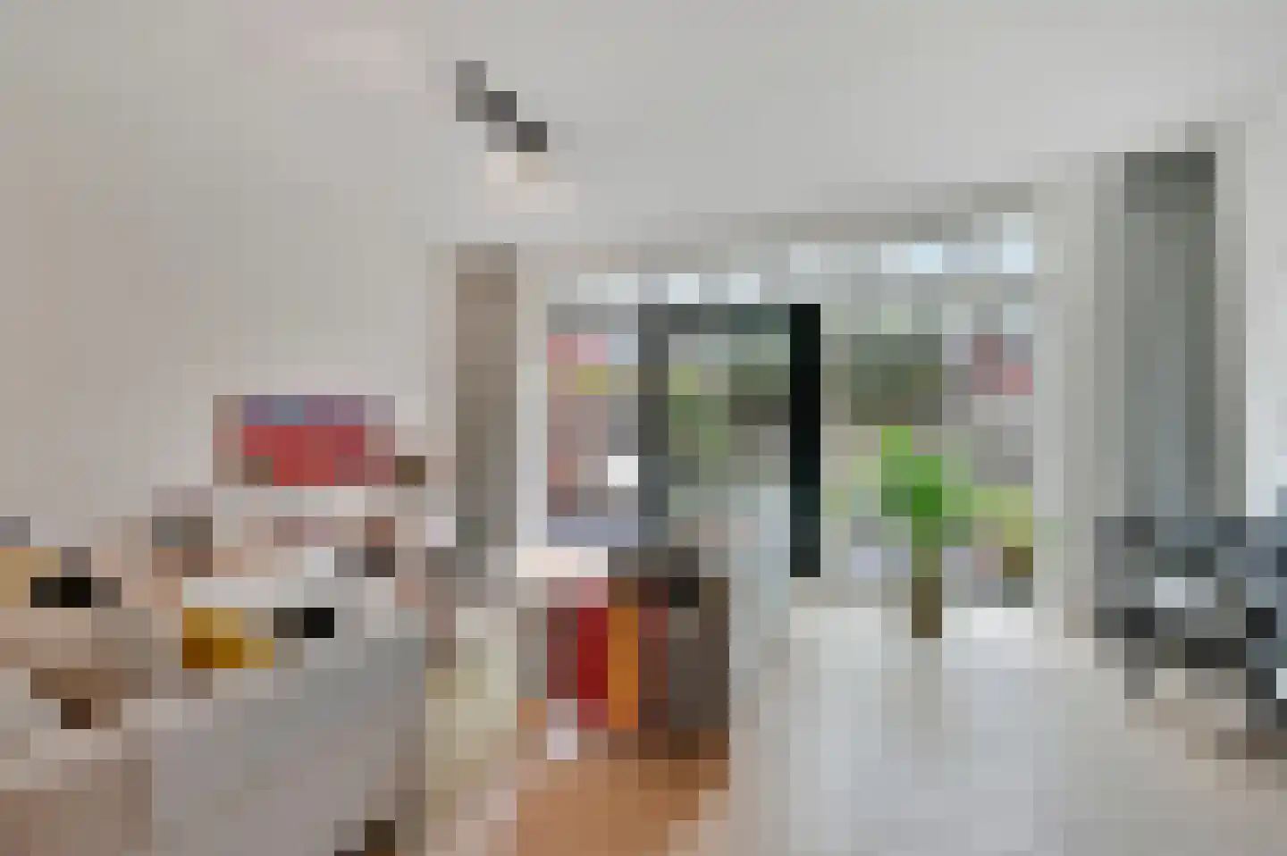 Octavio Pazlaan 9 Den Haag thumbnail 22