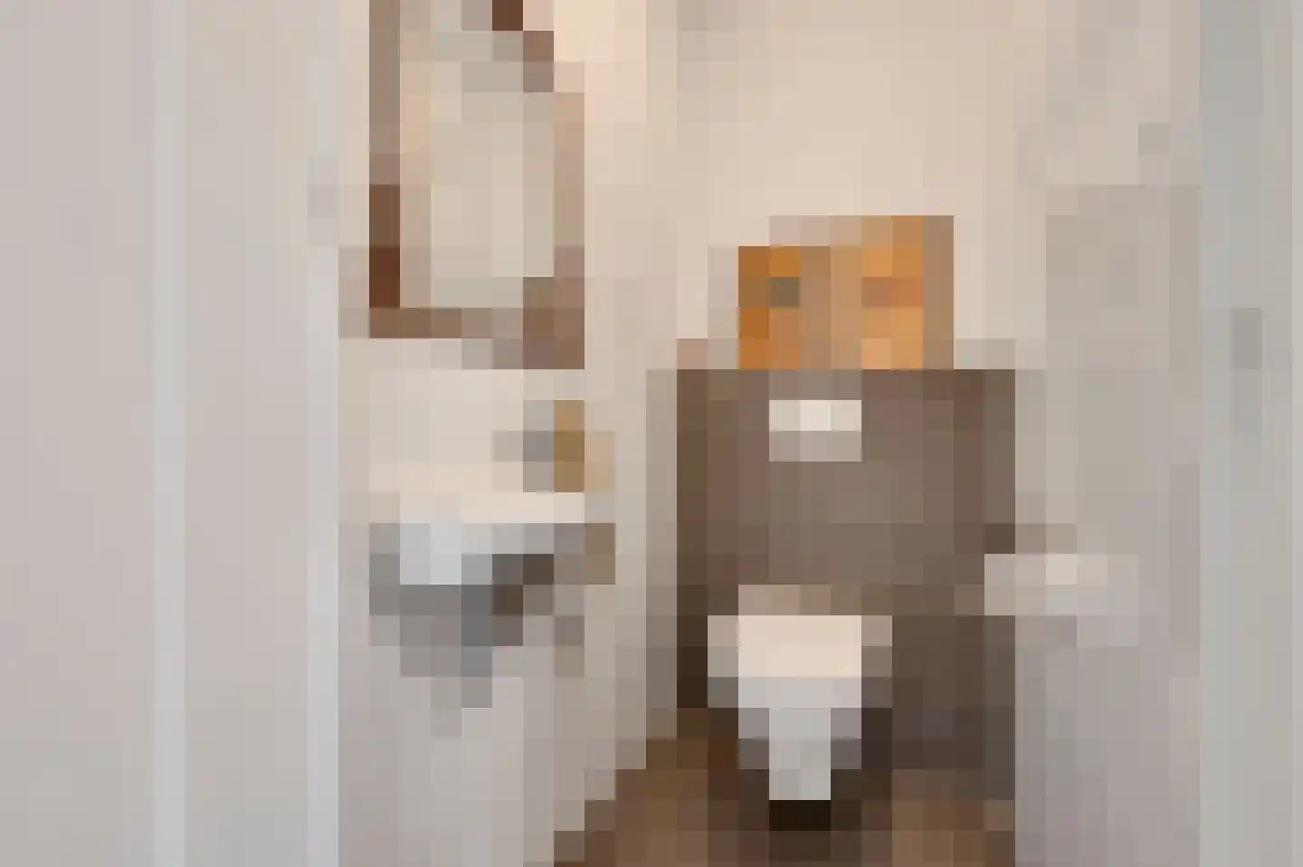 Octavio Pazlaan 9 Den Haag thumbnail 39