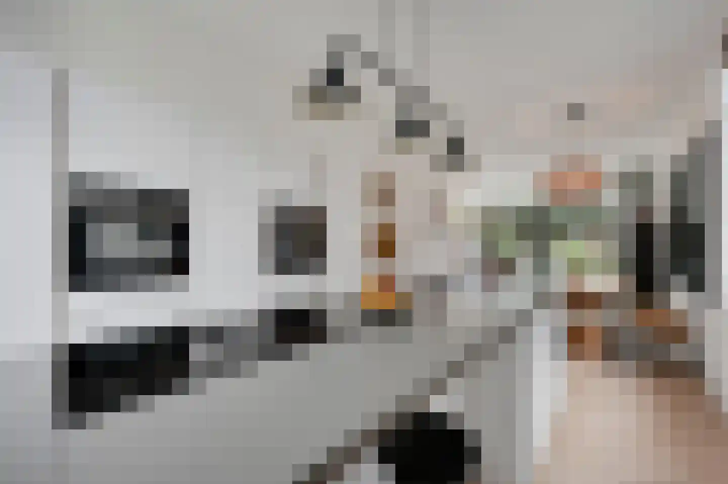 Octavio Pazlaan 9 Den Haag thumbnail 4