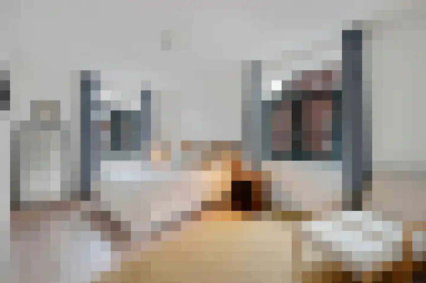 Octavio Pazlaan 9 Den Haag thumbnail 49