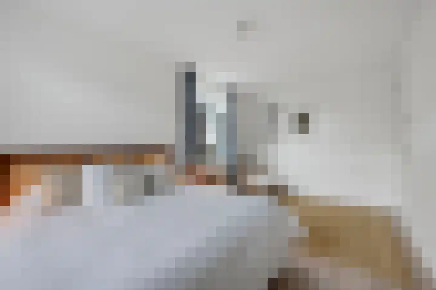 Octavio Pazlaan 9 Den Haag thumbnail 50