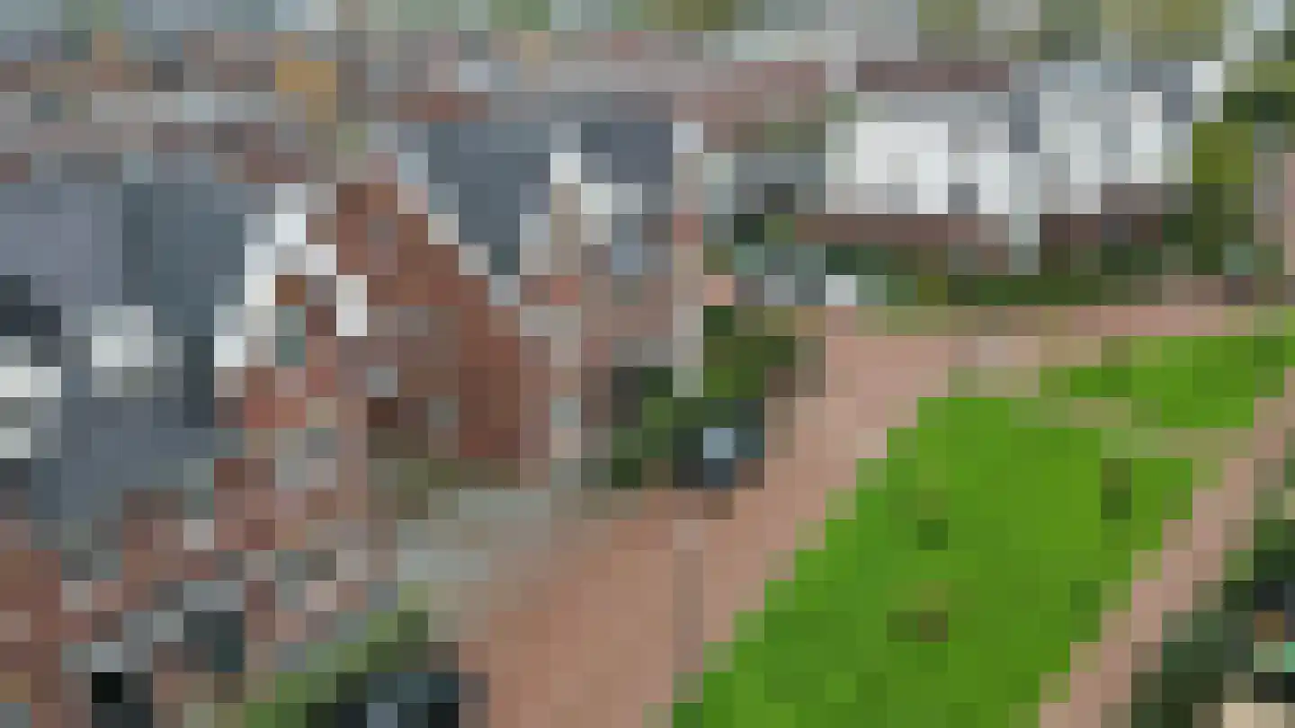 Octavio Pazlaan 9 Den Haag thumbnail 7