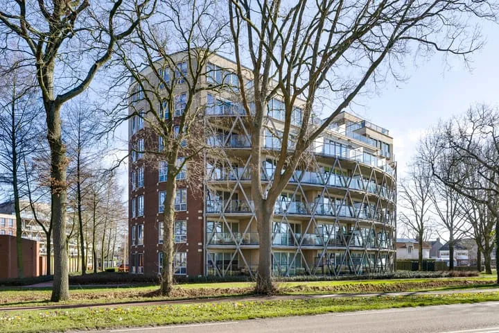 Octogoon 19 in Boxtel