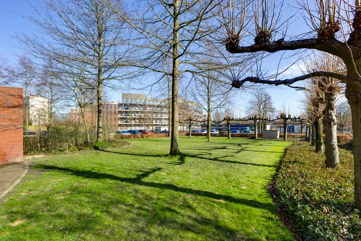 Octogoon 19 Boxtel thumbnail 28