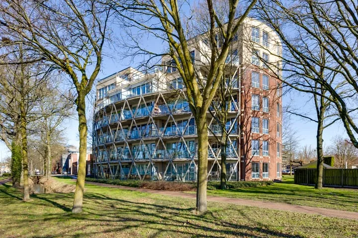 Octogoon 19 Boxtel thumbnail 29