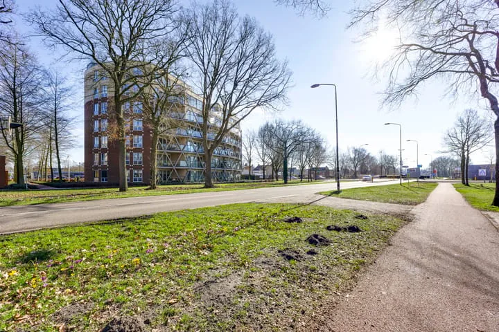 Octogoon 19 Boxtel thumbnail 30