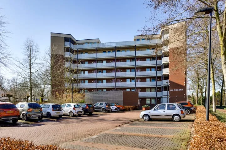 Octogoon 19 Boxtel thumbnail 4