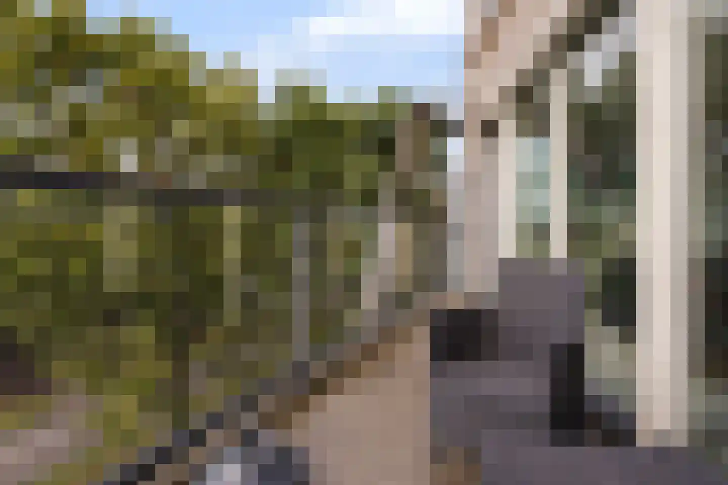 Octogoon 26 Boxtel thumbnail 45