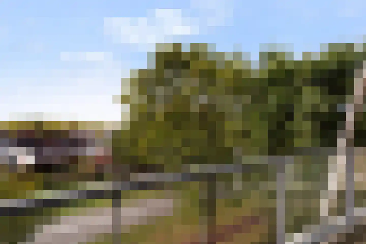Octogoon 26 Boxtel thumbnail 46