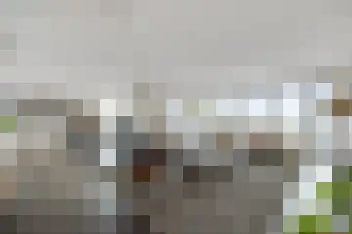 Octogoon 32 Boxtel thumbnail 14