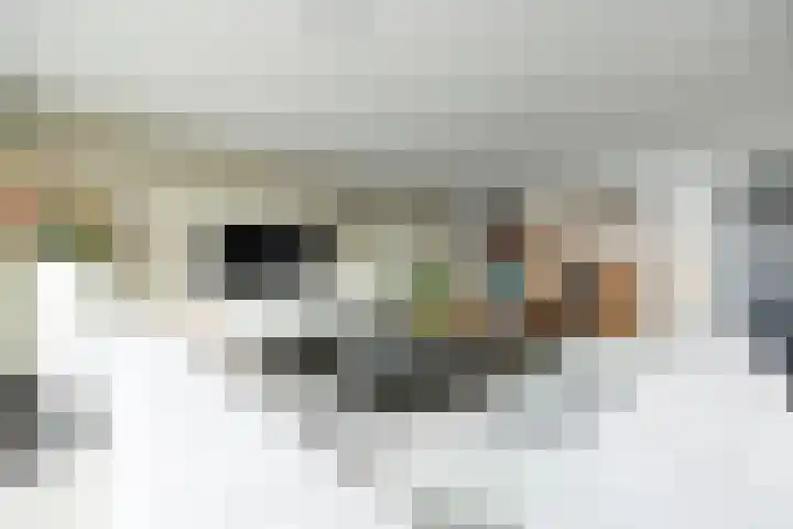 Octogoon 32 Boxtel thumbnail 20
