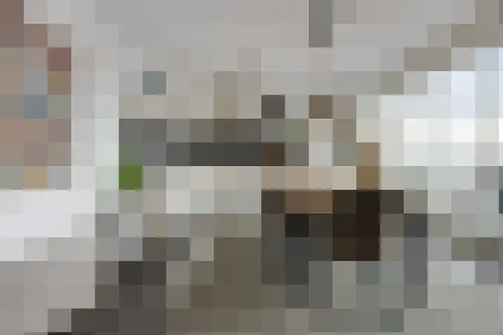 Octogoon 32 Boxtel thumbnail 24