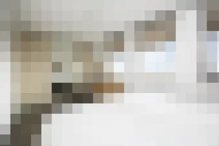 Octogoon 32 Boxtel thumbnail 39