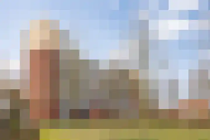 Octogoon 32 Boxtel thumbnail 4