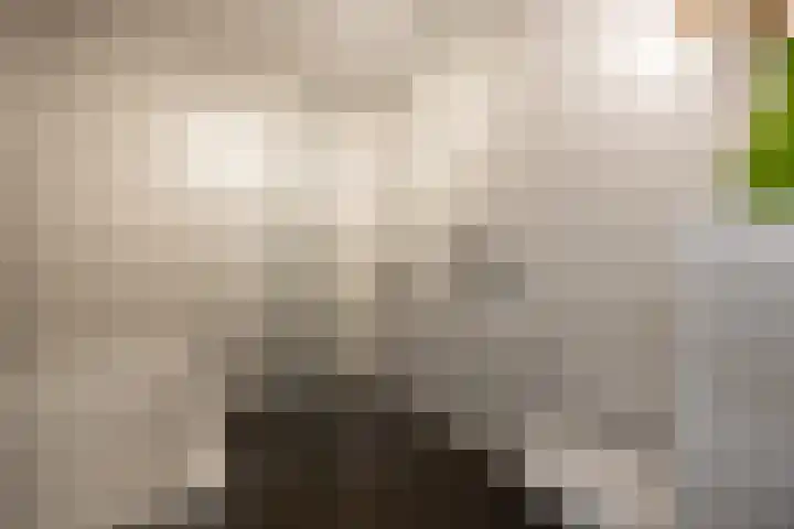 Octogoon 32 Boxtel thumbnail 41