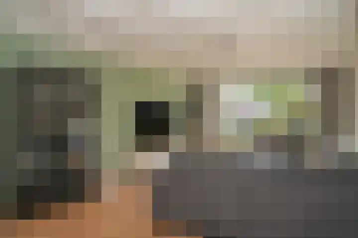 Octopusstraat 3 Horssen thumbnail 10
