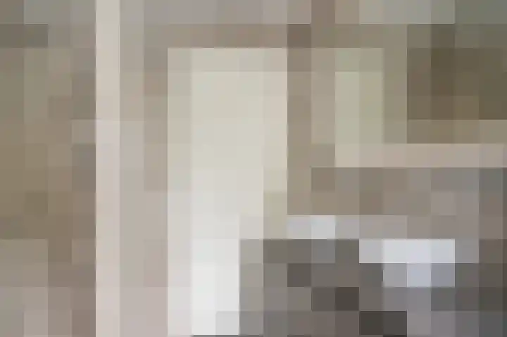 Octopusstraat 3 Horssen thumbnail 26