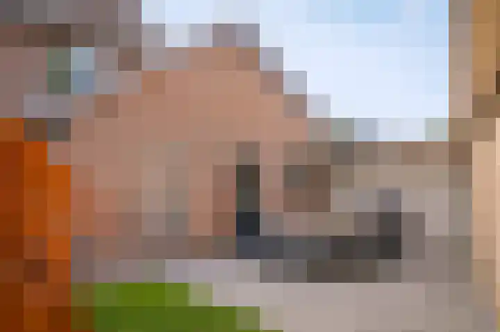 Octopusstraat 3 Horssen thumbnail 36