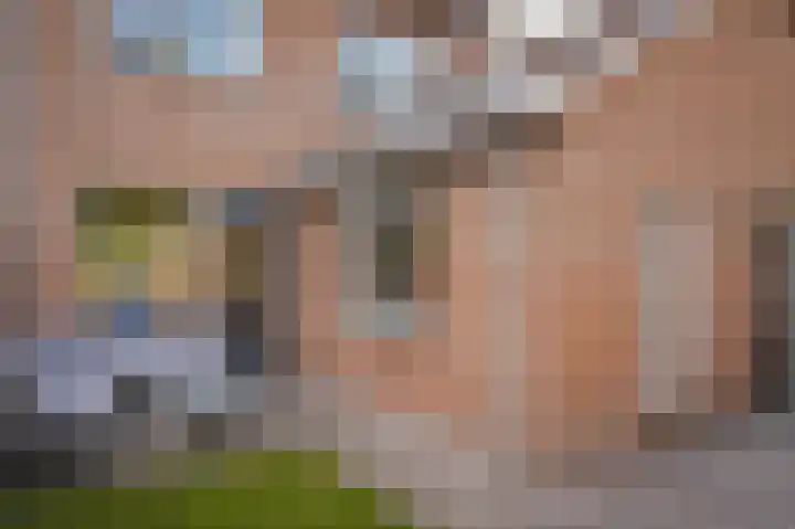 Octopusstraat 3 Horssen thumbnail 37