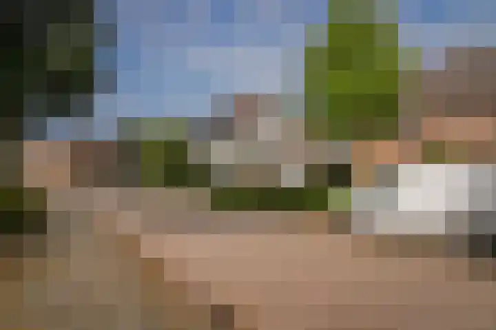 Octopusstraat 3 Horssen thumbnail 43