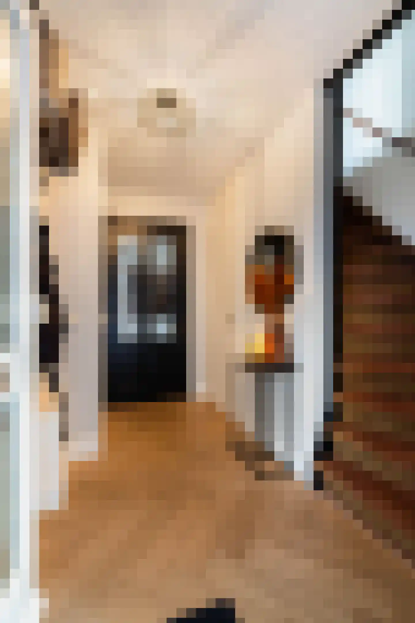 Odahoevestraat 24 Weert thumbnail 10