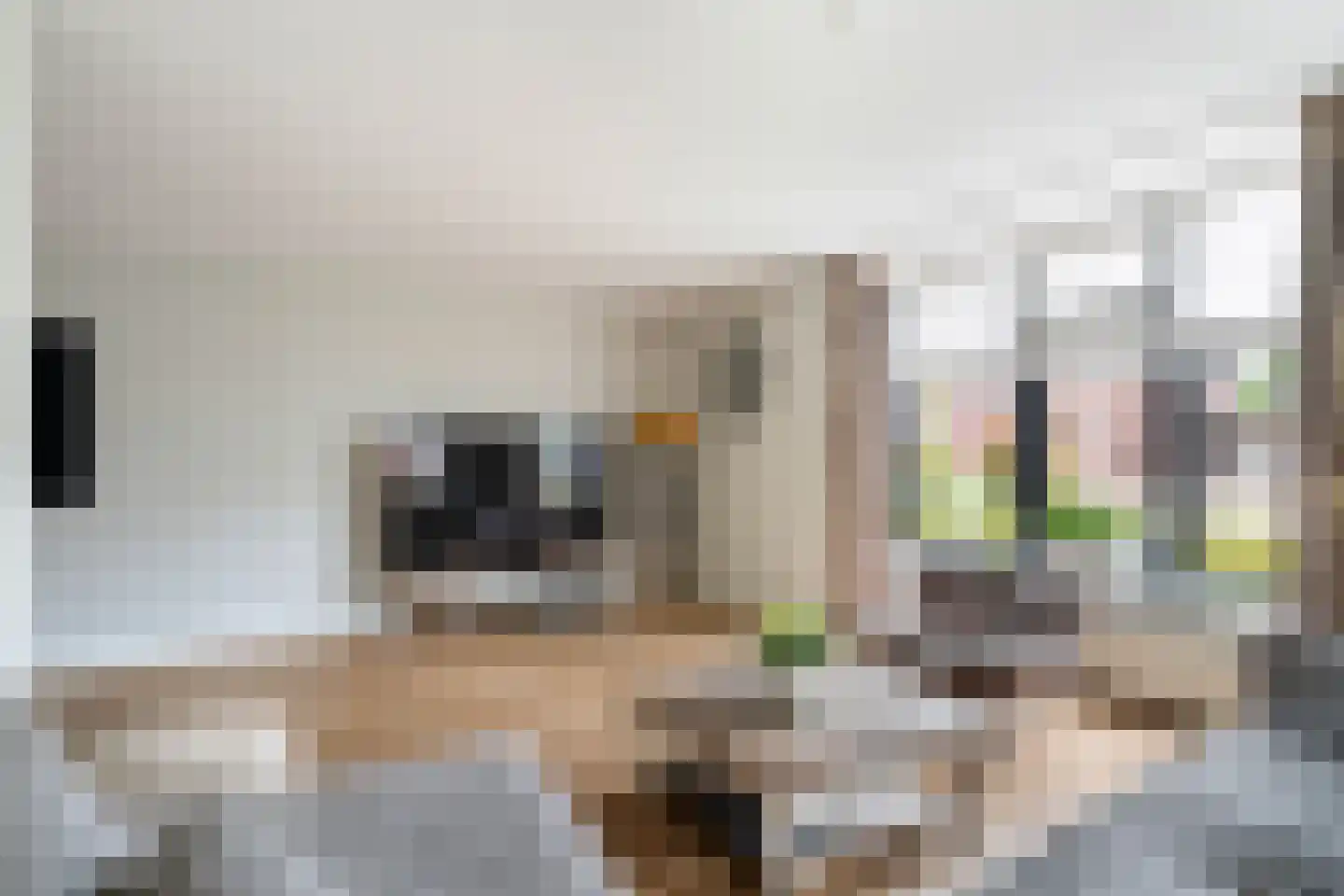 Odahoevestraat 24 Weert thumbnail 14